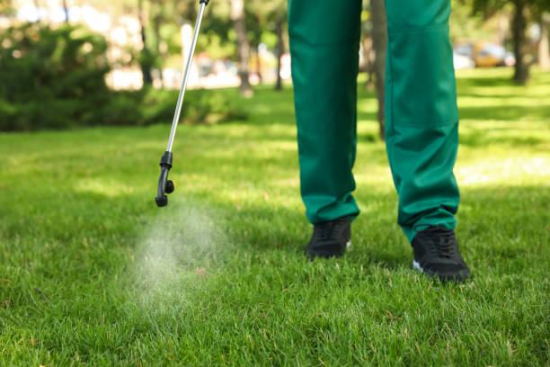 Best Local Pest Control Services  in Jonesboro, GA
