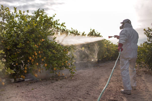 Best Mosquito Control Services  in Jonesboro, GA