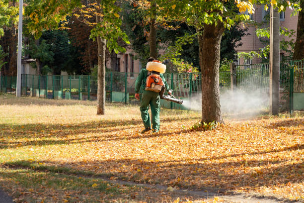Best Insect Control  in Jonesboro, GA